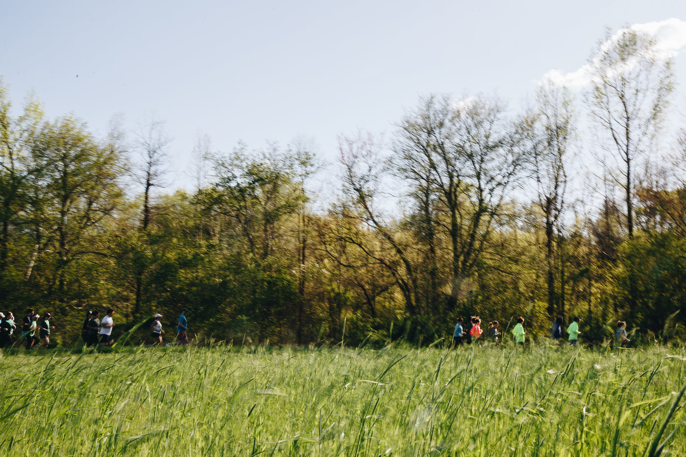 People running through a grassy field with trees in the background
